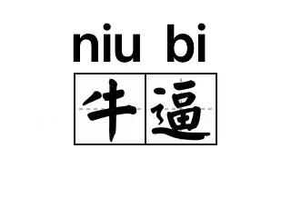 牛逼Niubi